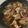 きゅうしゅうダンディ's cooksnap of when they made 漬け込んでおいしい！簡単豚の生姜焼き.