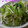 Erry_k's cooksnap of when they made 白ネギと大根のナムル.