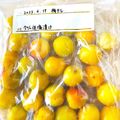 FUHAKKY's cooksnap of when they made 梅講師直伝㊹干さない低塩梅干し（梅漬け）.