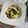 ブランディ's cooksnap of when they made 桃とモッツァレラの前菜.