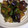 ☆亮☆'s cooksnap of when they made ピーマンと茄子のオイスターソース炒め.