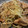 ☆はるとあき☆'s cooksnap of when they made 簡単！レバーともやしの甘味噌炒め.