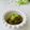 ＊mintmint＊'s cooksnap of when they made 梅ジュースから梅ジャムへ.