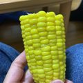 はとポ's cooksnap of when they made とうもろこしの茹で方.