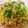 ♪チビひなた♪'s cooksnap of when they made レンジで！ツナと大葉のさっぱり汁なし麺.