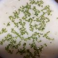 まぁぁぁちゃん's cooksnap of when they made ミキサー不要！じゃがいものポタージュ.