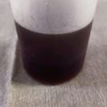 ねこのガストン's cooksnap of when they made 簡単自家製！ そうめんつゆの作り方.