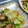 りよんじゃ's cooksnap of when they made 夏はコレ！夏野菜と鶏ももの中華炒め.
