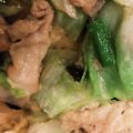ひでぱっど's cooksnap of when they made 子どもと一緒に回鍋肉.