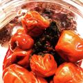 クック8C18XR☆'s cooksnap of when they made 梅干しの漬け方&作り方.