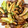 тakuмasa✩。's cooksnap of when they made ご飯が進むレタスときのこの旨バター炒め♪.