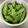 ひろひよ's cooksnap of when they made 10分で完成！絹さやの胡麻ナムル.
