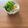 Etsu☆ko's cooksnap of when they made ノンオイル。鶏塩ネギパクチーそうめん.