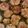 クックMBFRTA☆'s cooksnap of when they made 輪切りピーマンの肉詰め.