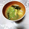 めみたん☆'s cooksnap of when they made 簡単！具材何でも☆味噌汁 作り置きにも.