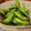 ダッフィーニーうに's cooksnap of when they made お湯を沸かさない　えだまめ茹で方.