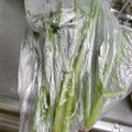 ひろぅみん's cooksnap of when they made 蘇る！ほうれん草の保存法☆彡.