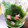 クック3D63YZ☆'s cooksnap of when they made 長持ち！～大葉の保存方法～.