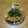 クックchitann's cooksnap of when they made 簡単！激ウマ！キムチ＊納豆.