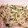 はるくん１'s cooksnap of when they made あと一品に！もやしときゅうりの中華和え.