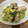 Perlまま's cooksnap of when they made 小松菜と鯖の煮物.