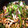 クックMN79XB☆'s cooksnap of when they made ちくわと人参とピーマンのきんぴら.