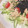 ＊しずく雨＊'s cooksnap of when they made 柔らかいトマトの切り方♪(薄く切る方法).