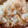 berry♪a_a♪'s cooksnap of when they made しょうがごはん.