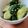 berry♪a_a♪'s cooksnap of when they made 我が家のやみつきキュウリ.