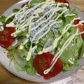 ariyuki97's cooksnap of when they made ズボラなレタスとジャコのさっぱりサラダ.