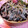 お山のエイ's cooksnap of when they made 牛肉とごぼう、実山椒のしぐれ煮.