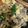 クックJWLD9G☆'s cooksnap of when they made スピードおかず！豚肉のニラ玉中華炒め　.