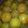 クックYKLJM7☆'s cooksnap of when they made 減塩はちみつ梅干し.