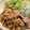 kyobobo's cooksnap of when they made すりおろし玉ねぎで、豚の生姜焼き.