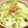 かなりんココりん's cooksnap of when they made 簡単☆新玉ねぎとキャベツのおかかポン酢.