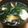 プルンバゴ's cooksnap of when they made わかめと豆腐のお味噌汁.