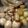 クック4ATSIP☆'s cooksnap of when they made お酢でさっぱり、鶏とジャガイモのうま煮.