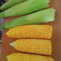 おひさま's cooksnap of when they made 絶品!!皮ごとレンジで簡単！とうもろこし.