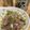 クックXB8SZP☆'s cooksnap of when they made アジのたたき.