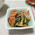 ぱふ♪'s cooksnap of when they made 叩き胡瓜とキムチの即席漬け.