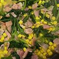 わっきー0424's cooksnap of when they made ほうれん草のバターソテー.