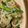 たべたべこ's cooksnap of when they made ピリ辛レバニラ.