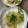 びっしー's cooksnap of when they made さっぱり鶏もものみぞれ煮【ずぼら】.