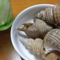 クックCM8I71☆'s cooksnap of when they made 簡単！安くて美味しい灯台つぶの塩ゆで♪.