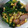 クック8SSYN0☆'s cooksnap of when they made ほうれん草とコーン＆ソーセージの炒めもの.