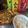 たっつぁん焚き火好き's cooksnap of when they made 簡単！永谷園のふりかけで和風麻婆豆腐.
