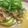 エペル's cooksnap of when they made ダイエット♪なすの豚梅わさびソース.