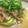 エペル's cooksnap of when they made ダイエット♪なすの豚梅わさびソース.