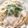 クックCNZGFQ☆'s cooksnap of when they made ベーコンと玉葱とじゃが芋のクリームパスタ.