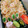 のんべぇヒロ's cooksnap of when they made きゅうりと塩昆布の❇１分❇もみ漬け.